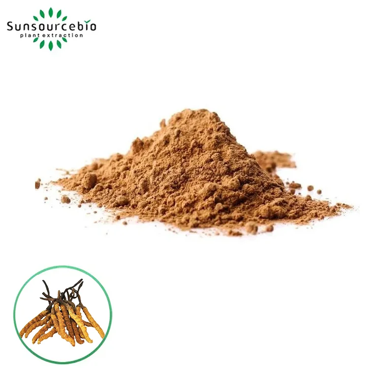 Ekstrakt Cordyceps sinensis